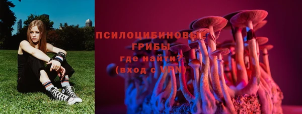 мескалин Михайлов