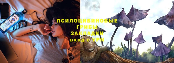 соль ск Михайловск